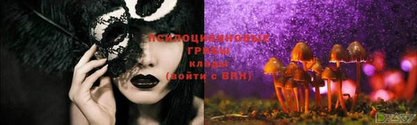 гидра Заволжье