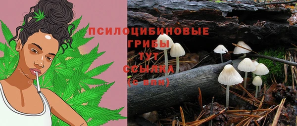 MDMA Заводоуковск